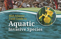 Mid-Atlantic AIS Field Guide – low res