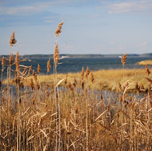 Hoopers Island