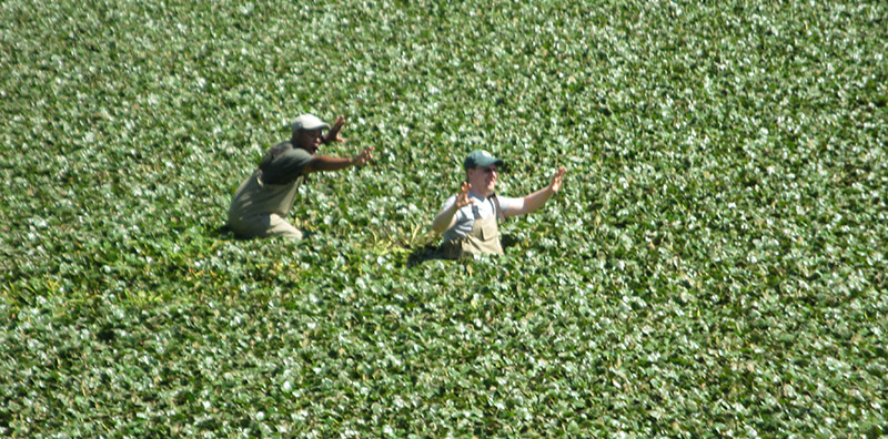 Invasive Species: From the Hudson River to your Classroom