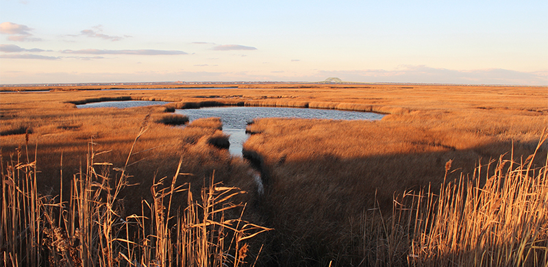 Investigating Options for Facilitating Access to Private Lands for the Eradication and Control of Aquatic Species