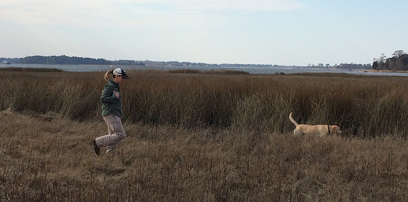 Training and Evaluation of Dogs for Early Detection of Nutria (Myocastor coypus)