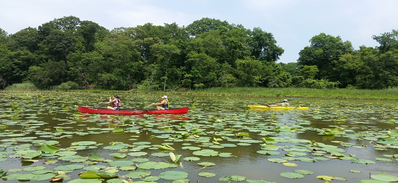 Mid Atlantic Lake Forum-A regional approach to AIS control and management